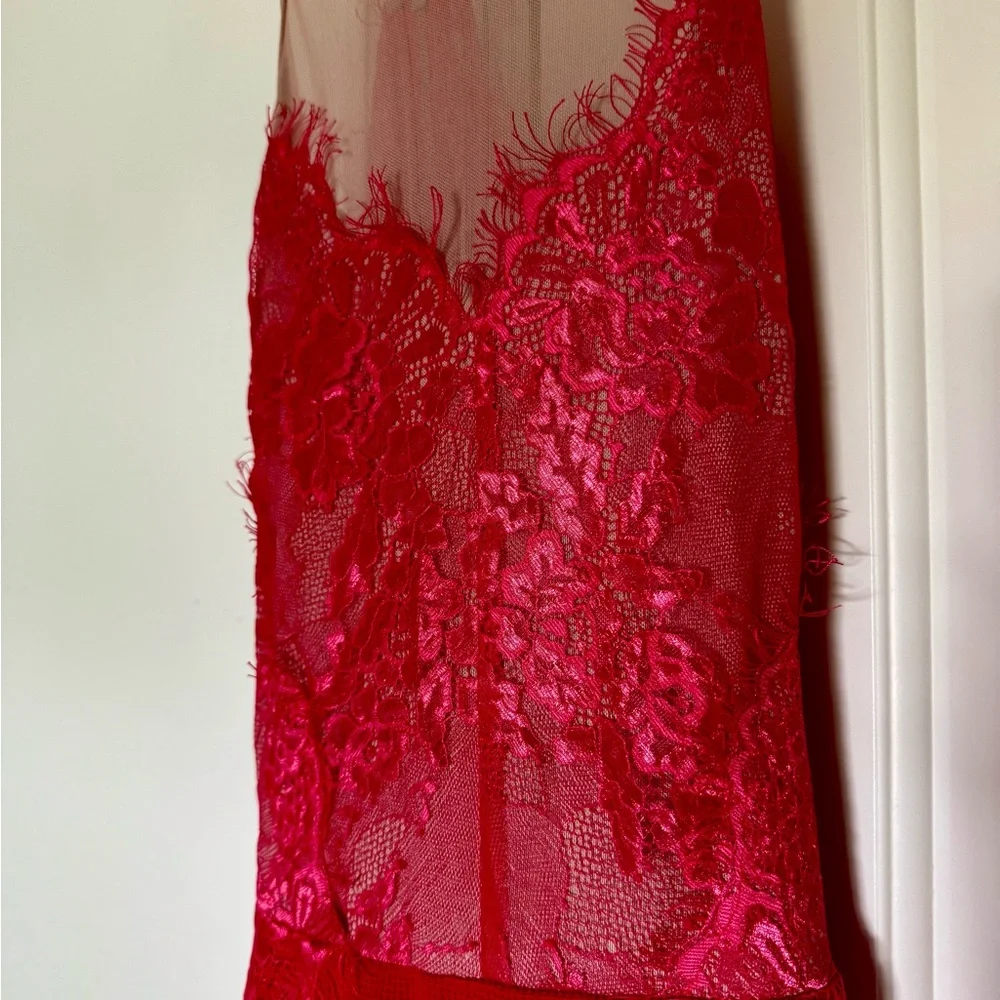 NWT Luxxel Red and Pink romantic lace Dress size L - Picture 2 of 7